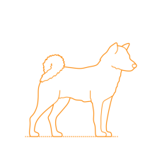 Animals Dogs Hokkaido Outline Svg Vector, Free Vectors File